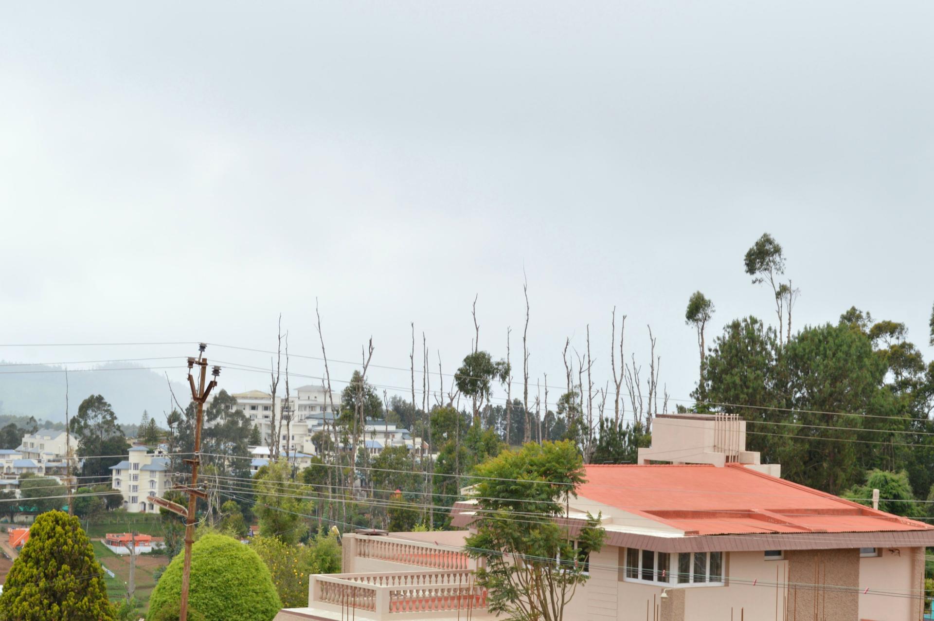 Fern hill in Ooty, Tamilnadu